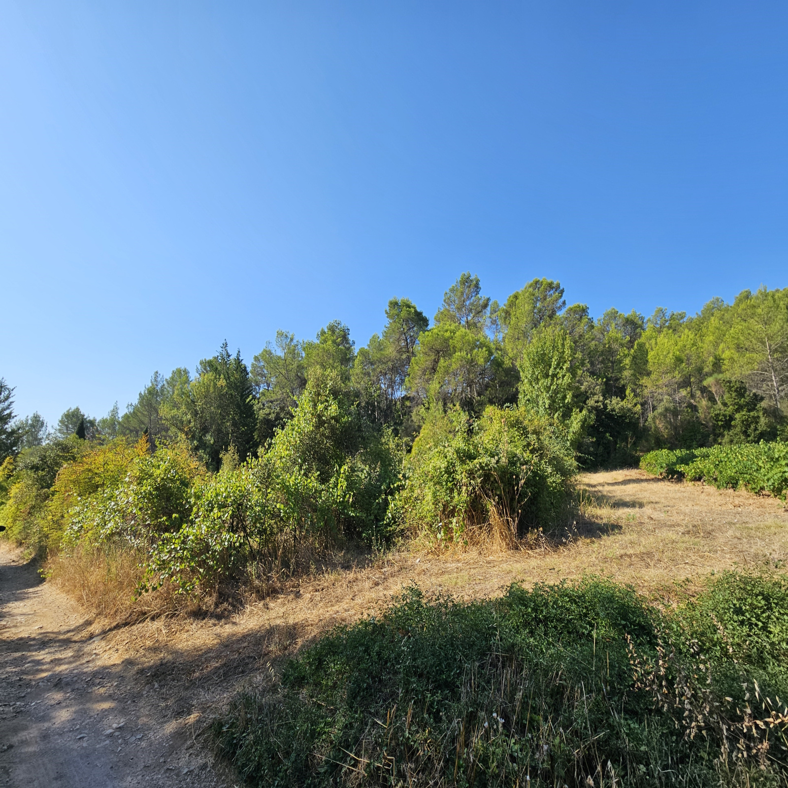 Image_4, Terrain de loisir, Pignans, ref :265