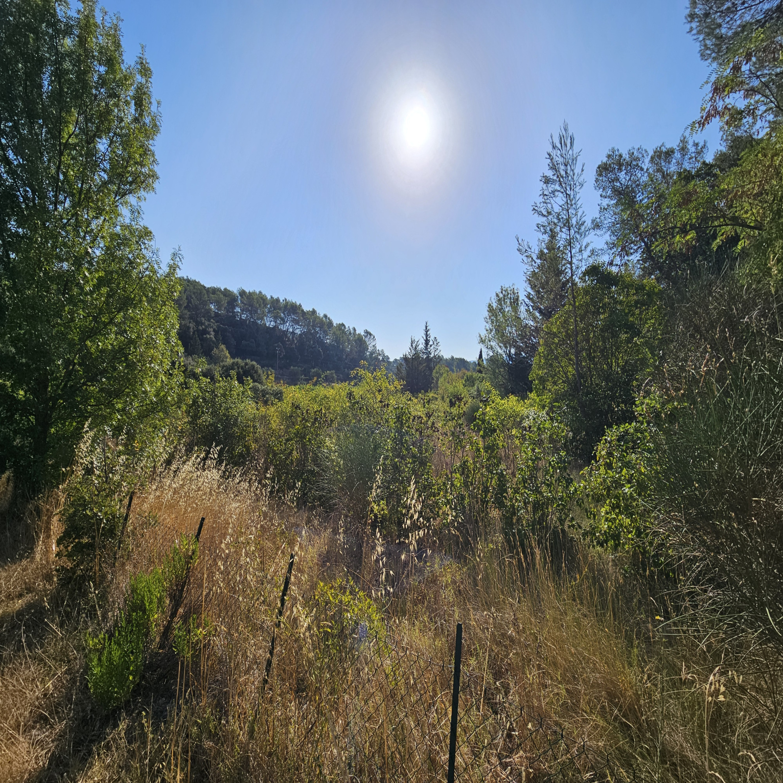 Image_3, Terrain de loisir, Pignans, ref :265