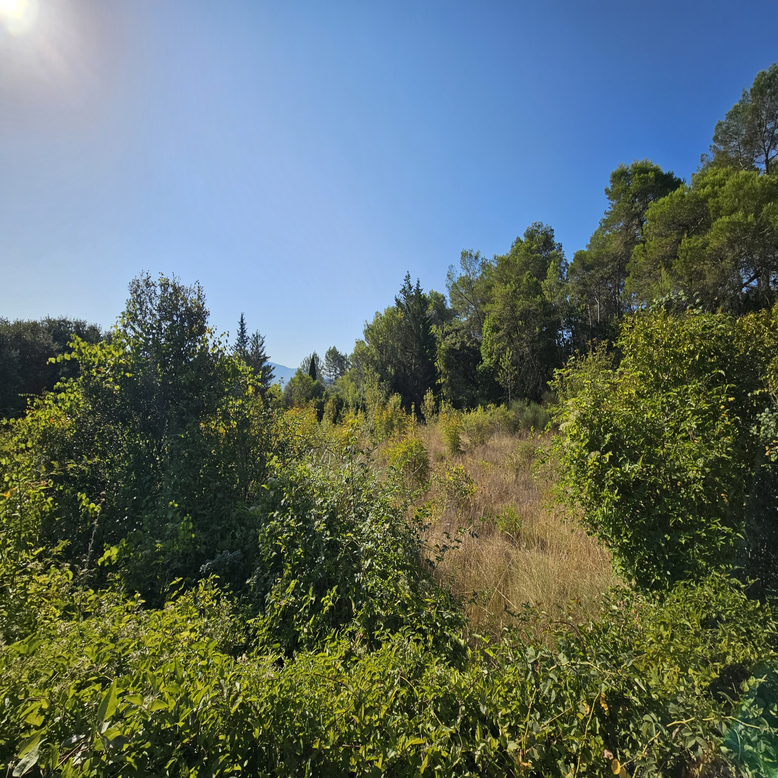 Image_2, Terrain de loisir, Pignans, ref :265